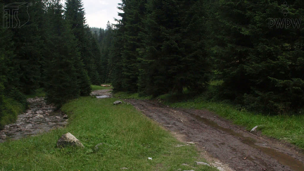 Медіа питання