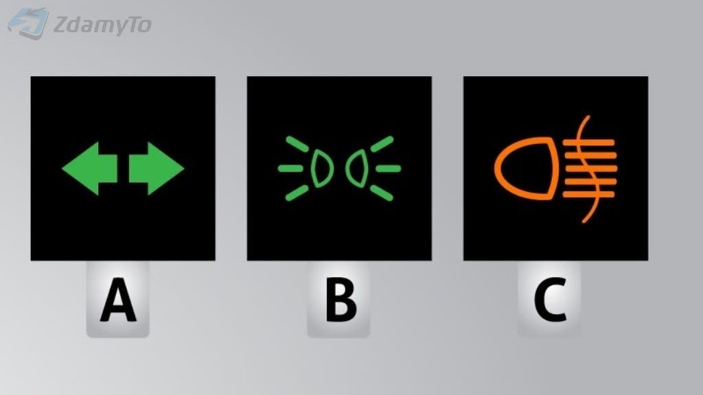 Question media